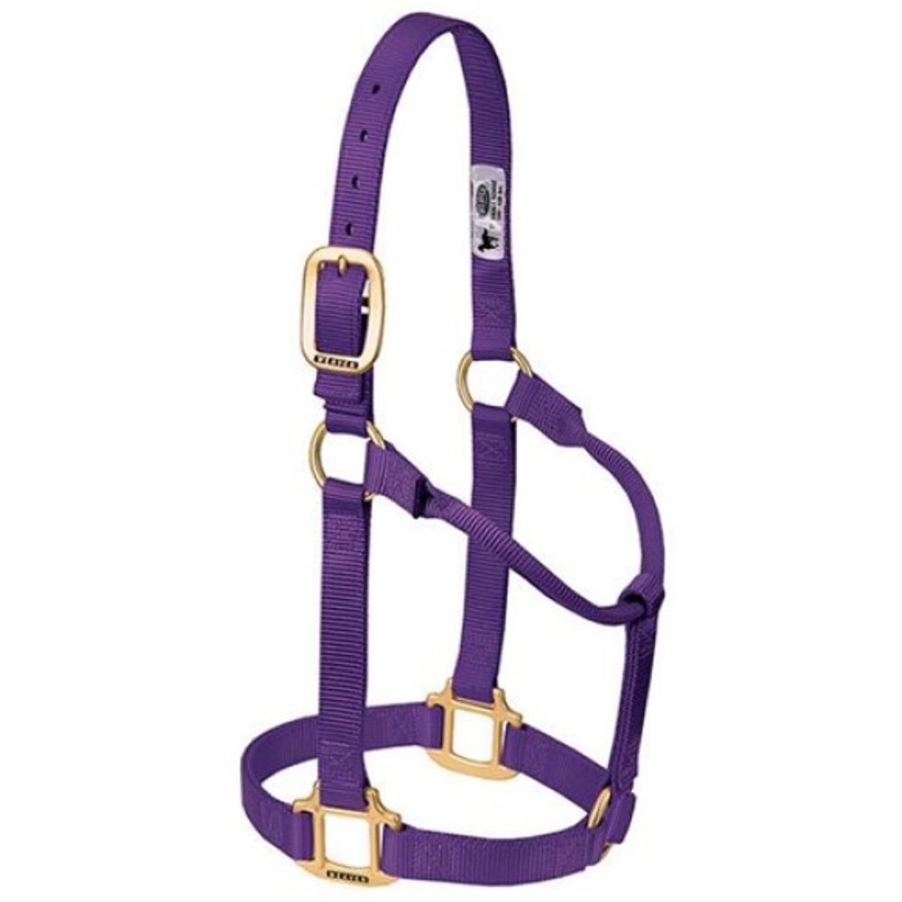 Weaver, 1" Purple Average Original Non-Adjustable Halter   