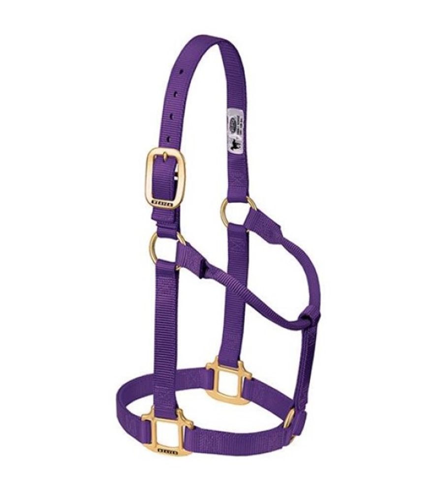 Weaver, 1" Purple Average Original Non-Adjustable Halter