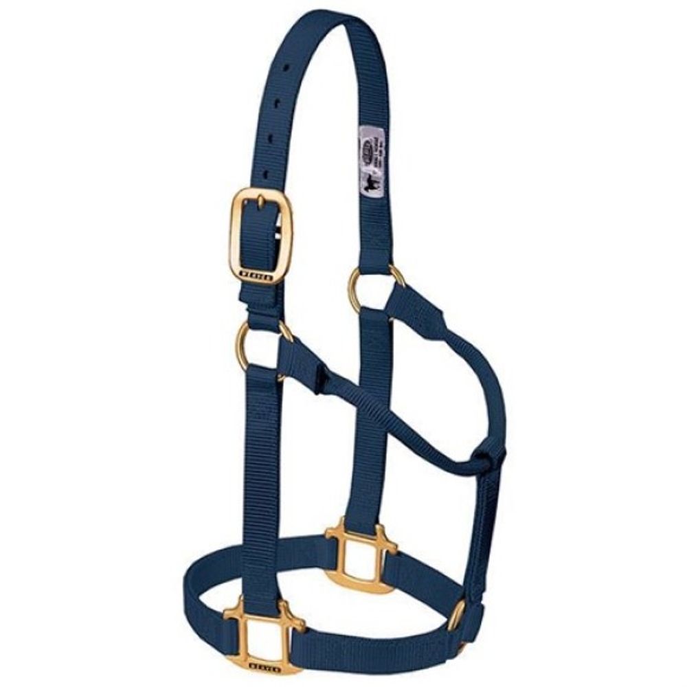 Weaver, 1" Navy Average Original Non-Adjustable Halter   
