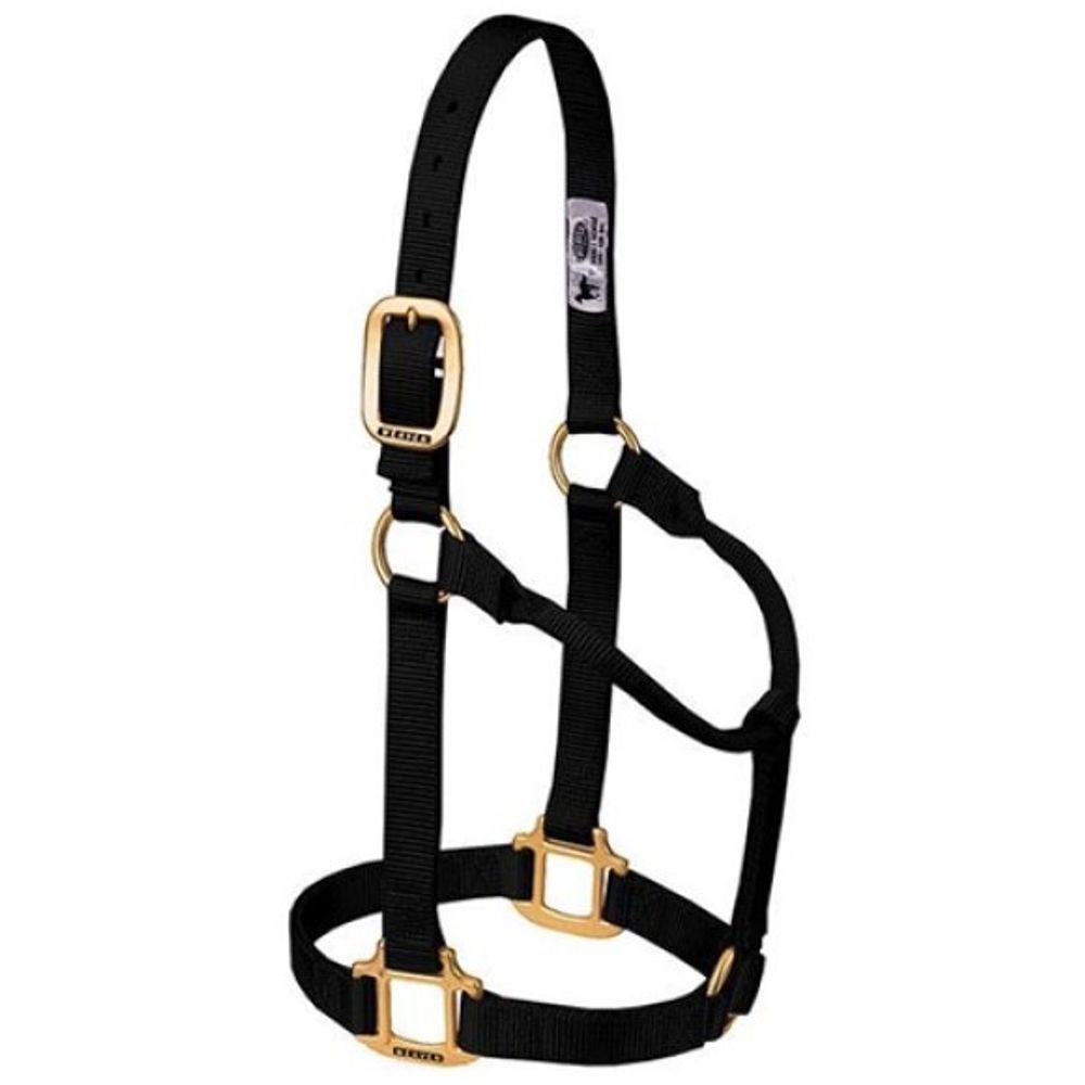 Weaver, 1" Black Large Original Non-Adjustable Halter  
