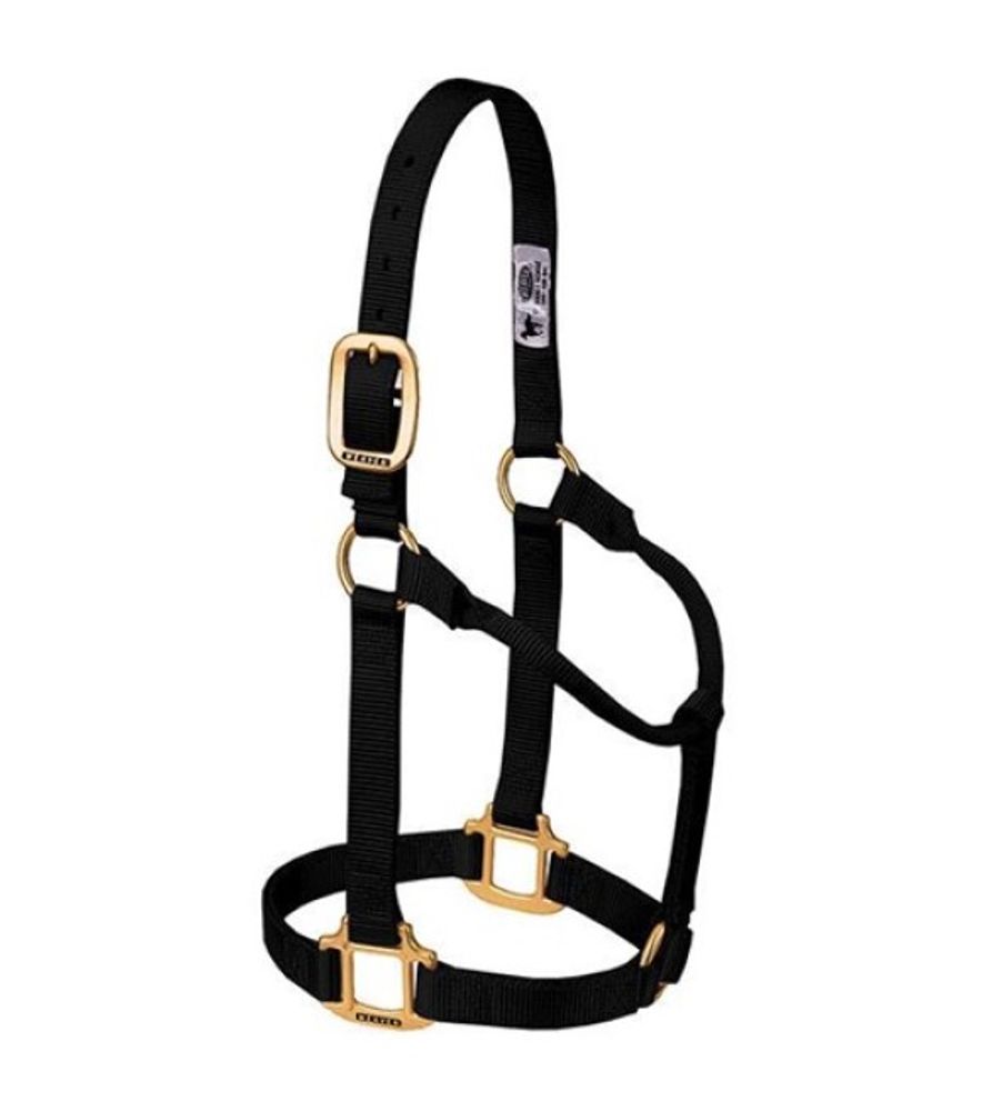 Weaver, 1" Black Large Original Non-Adjustable Halter