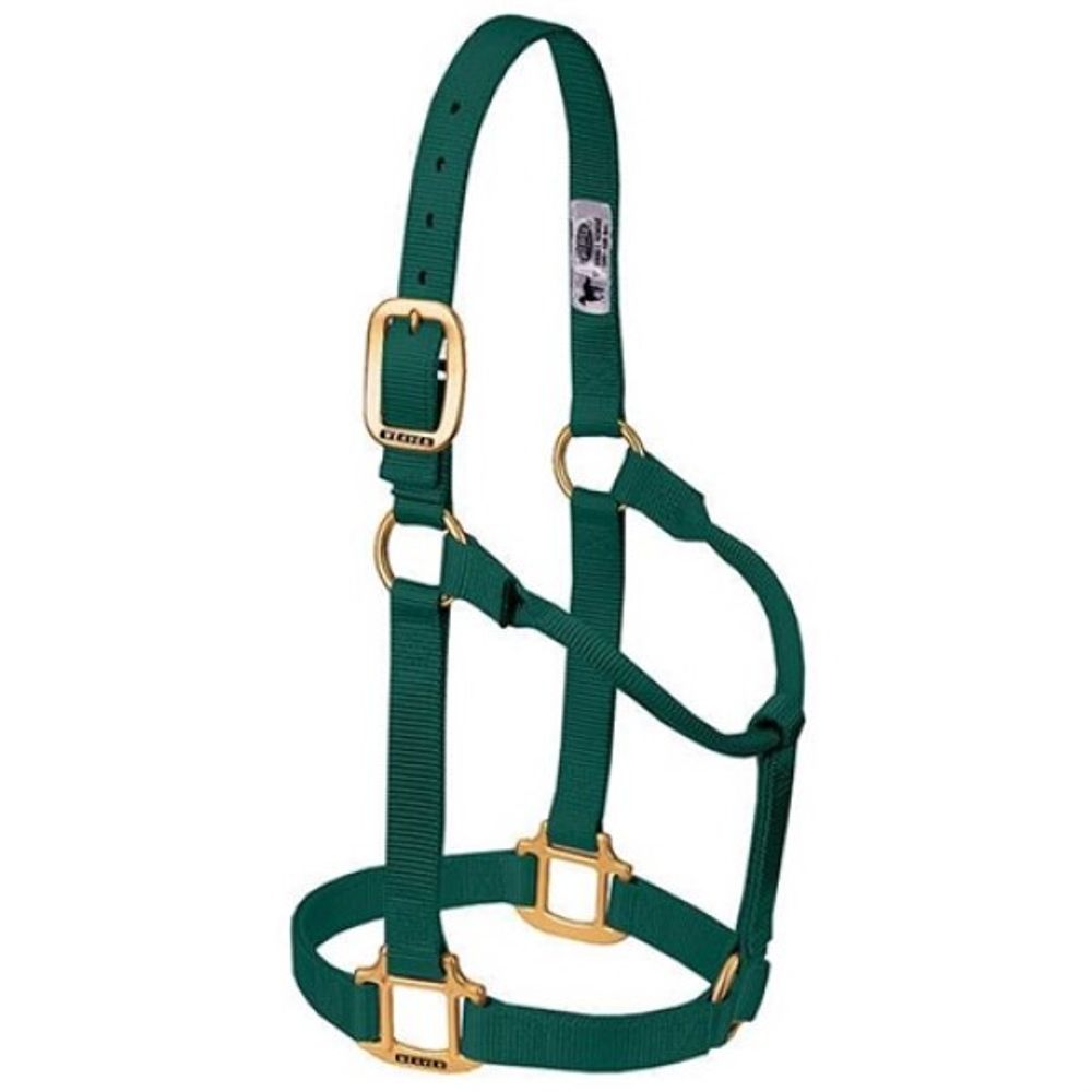 Weaver, 1" Hunter Green Large Original Non-Adjustable Halter