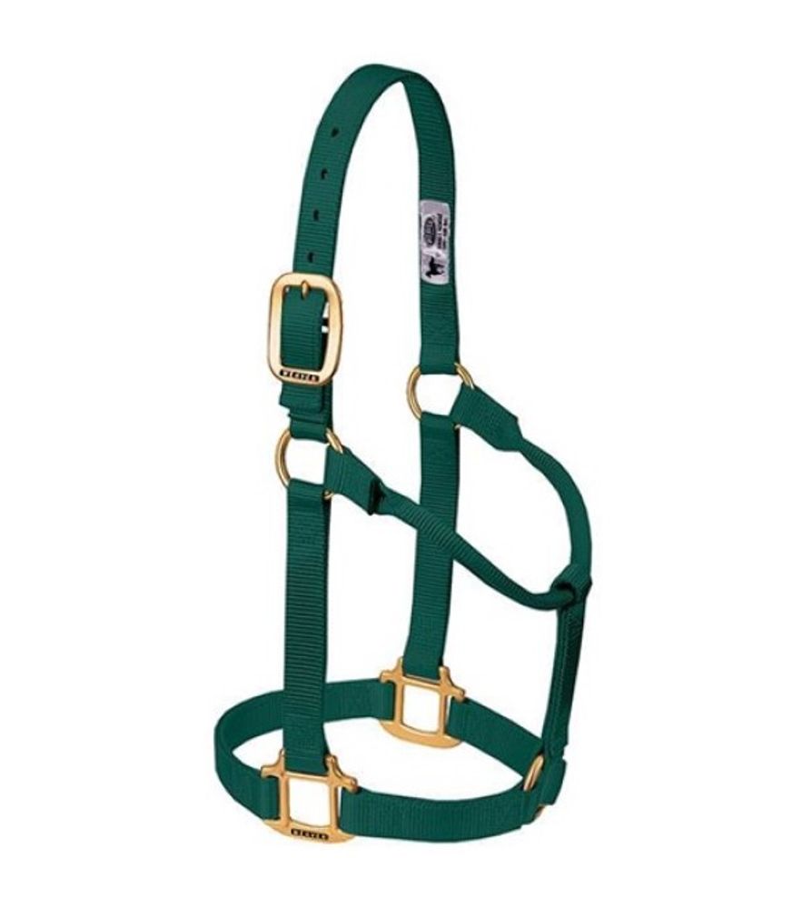 Weaver, 1" Hunter Green Large Original Non-Adjustable Halter