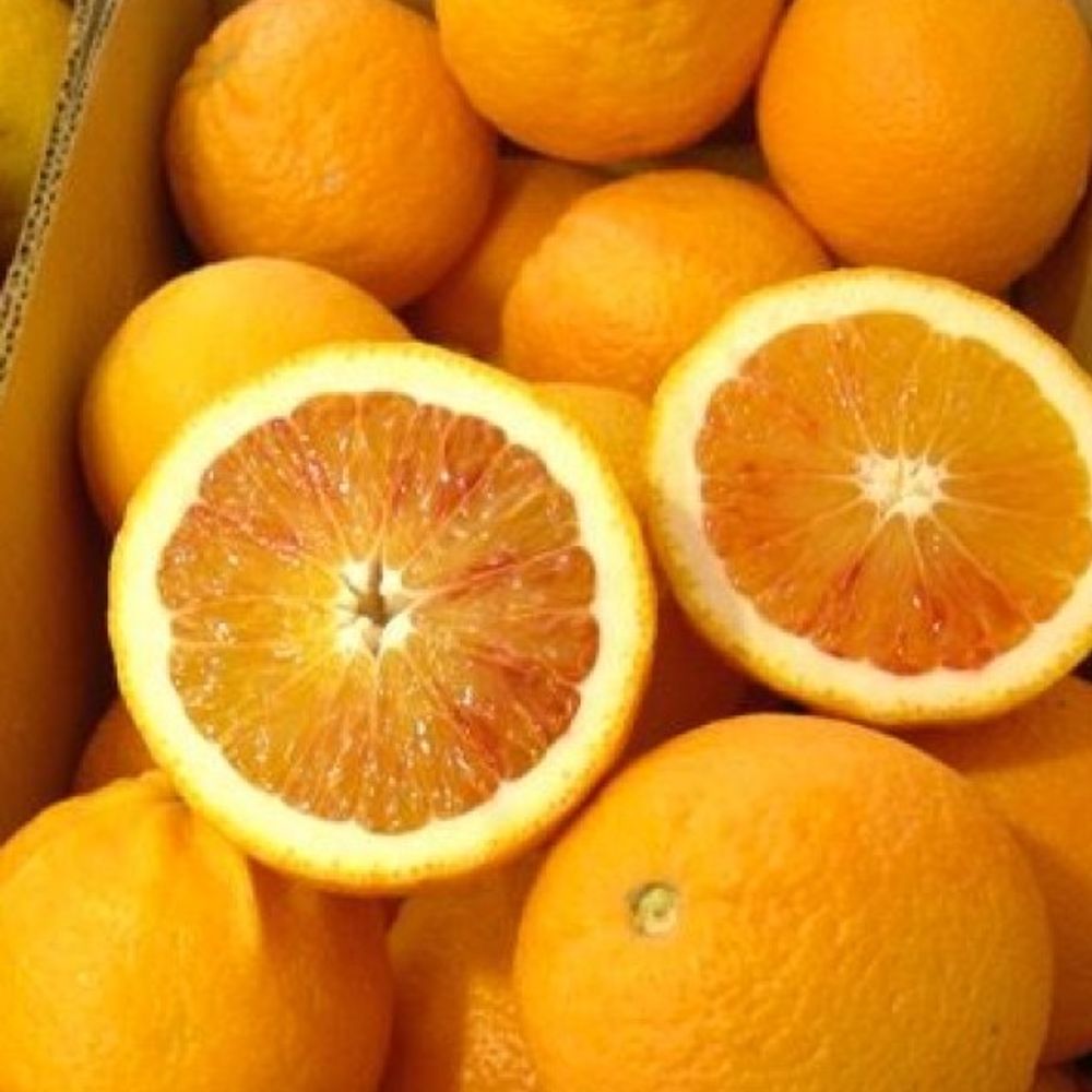 Delfino Blood Orange Citrus 