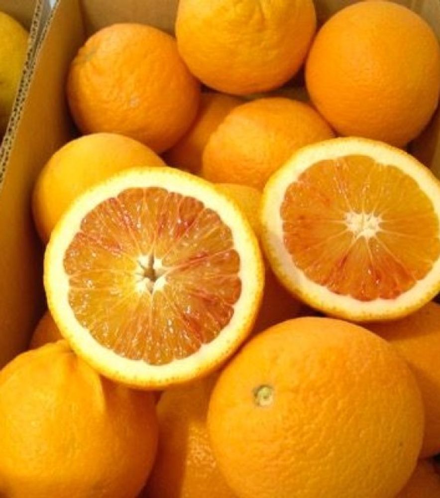 Delfino Blood Orange Citrus