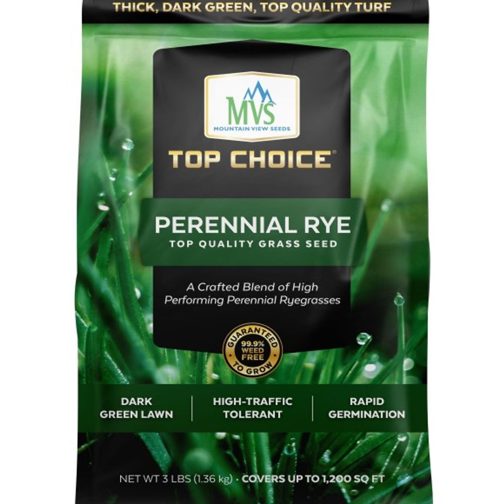 Top Choice, Perennial Rye Lawn Seed