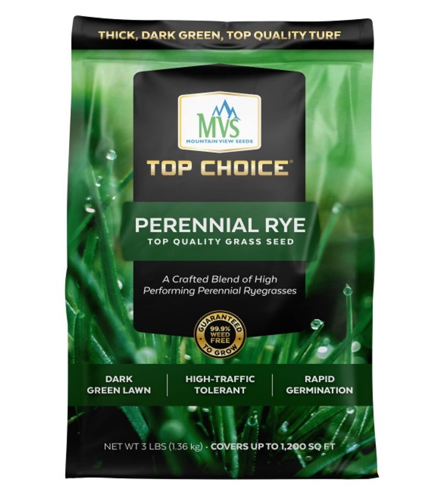 Top Choice, Perennial Rye Lawn Seed