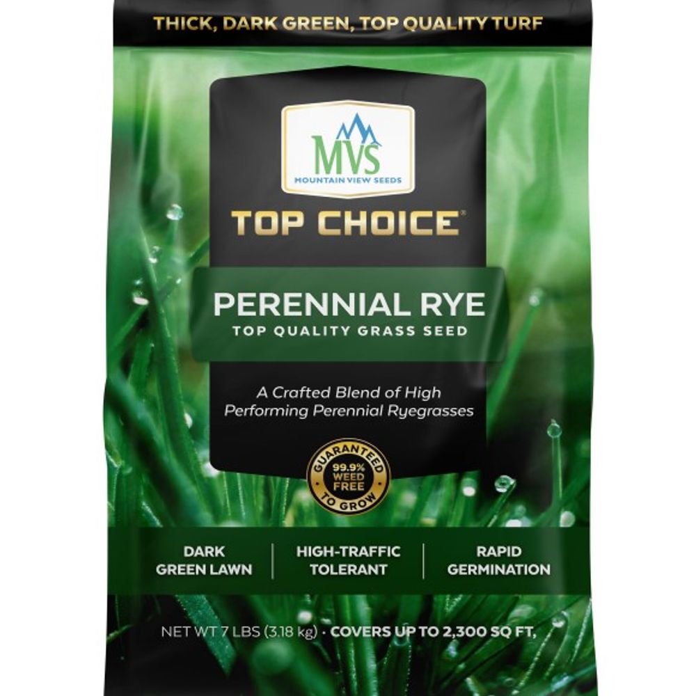 Top Choice, Perennial Rye Lawn Seed