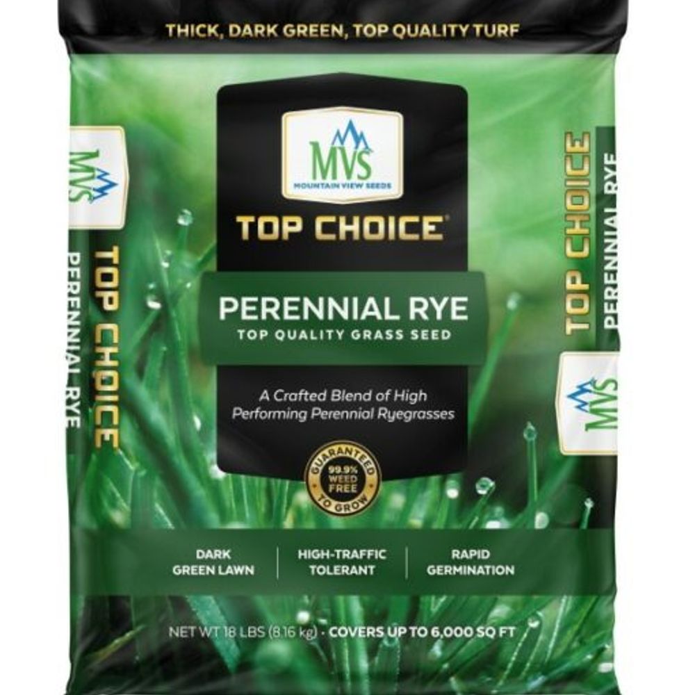Top Choice, Perennial Rye Lawn Seed