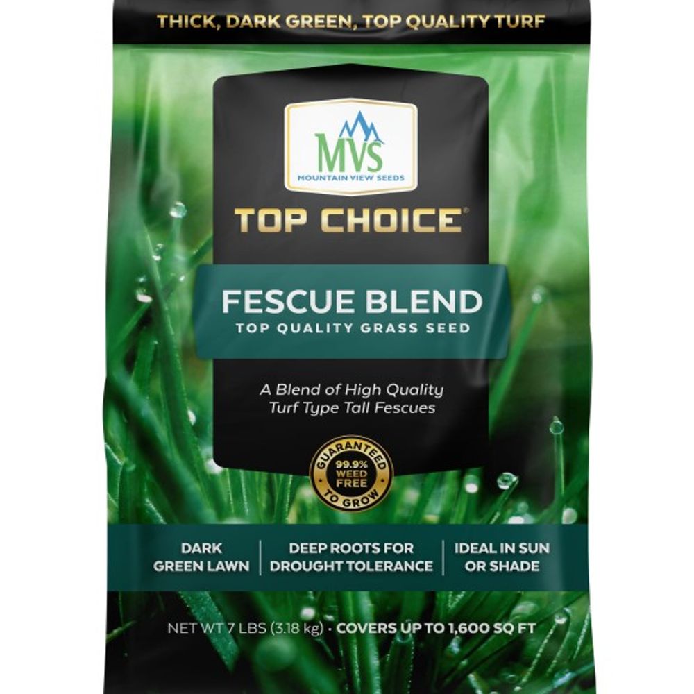 Top Choice, Fescue Blend Grass Seed
