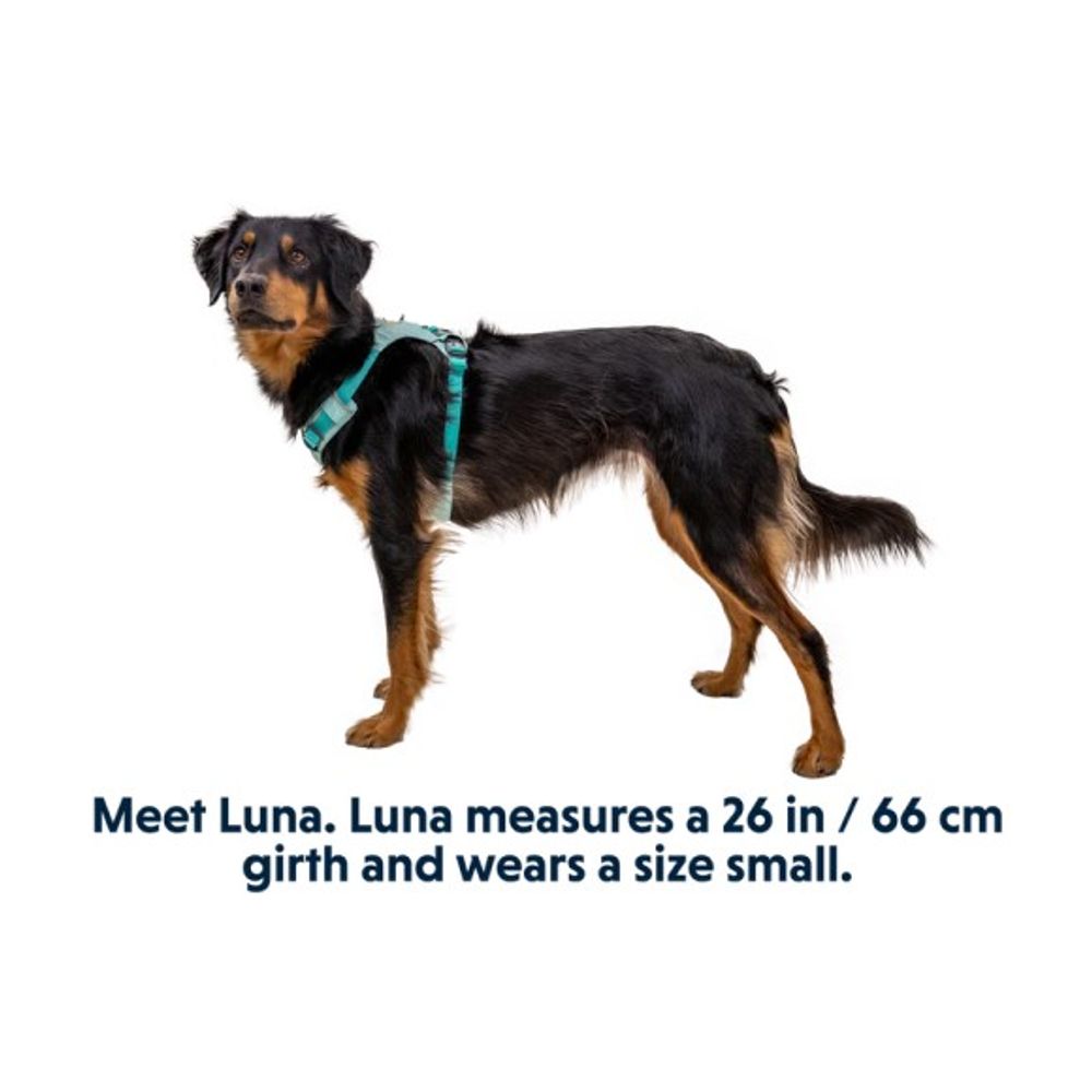 RuffWear, Sage Green Hi & Light Lightweight Dog Harness 