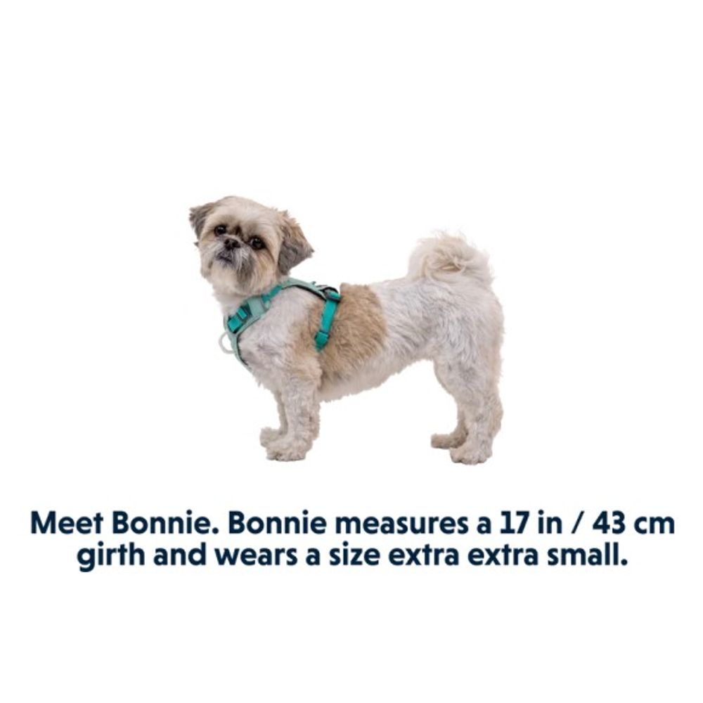 RuffWear, Sage Green Hi & Light Lightweight Dog Harness 