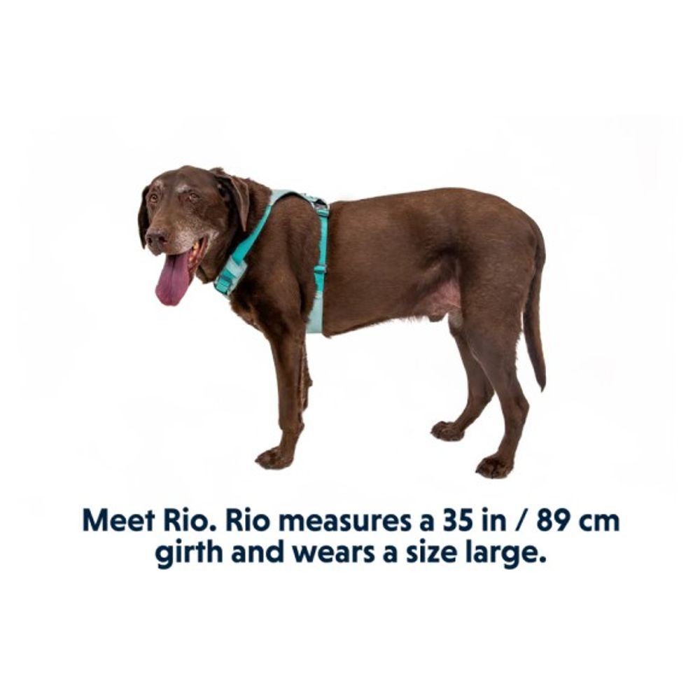 RuffWear, Sage Green Hi & Light Lightweight Dog Harness 