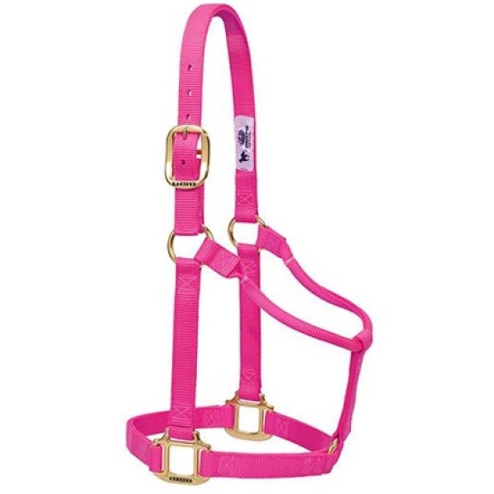 Weaver, 1" Diva Pink Original Non-Adjustable Halter 