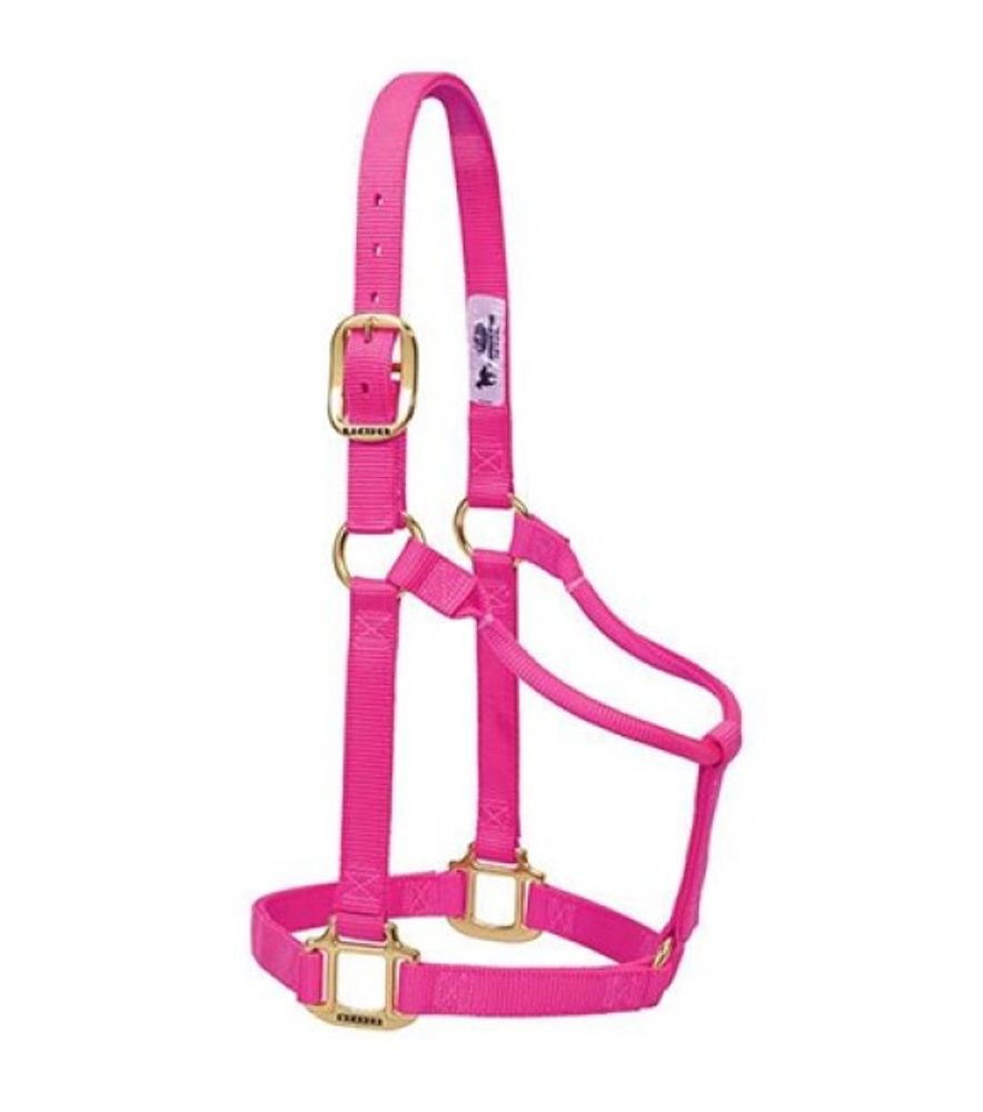 Weaver, 1" Diva Pink Original Non-Adjustable Halter