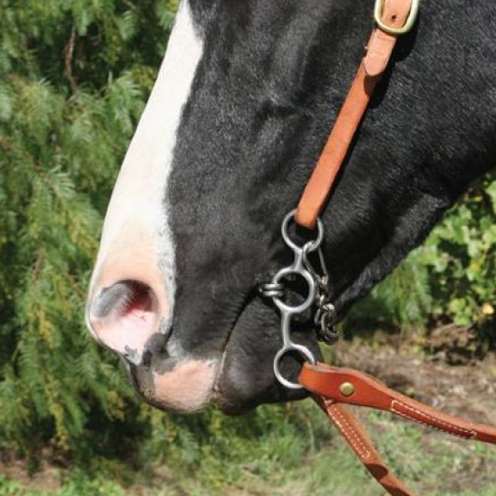 Professional's Choice, Short Shank Twisted Wire Snaffle Bit 