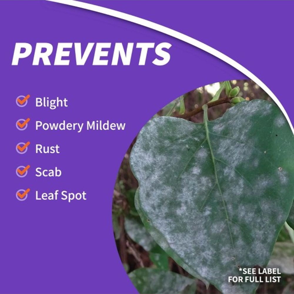 Bonide, Infuse Systemic Disease Control Concentrate, 16 oz 