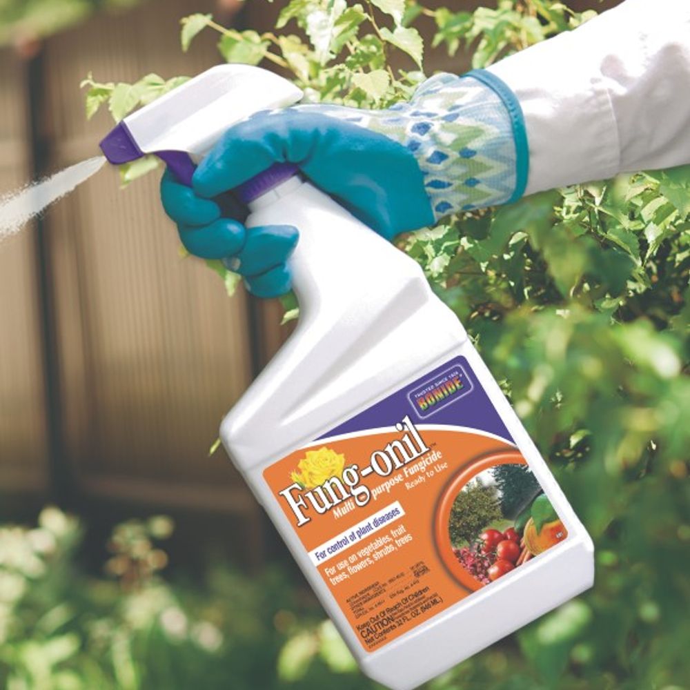 Bonide, Ready-to-Use Fung-onil Fungicide, 29 oz