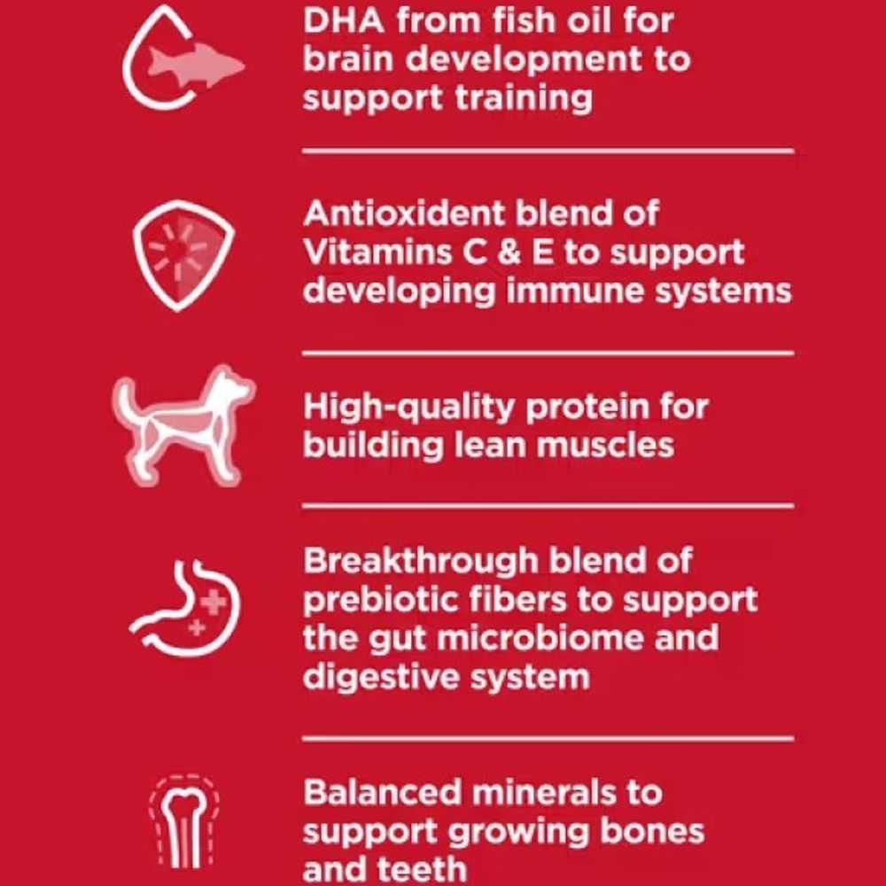 Science Diet, Large Breed Chicken & Brown Rice Recipe Puppy Food, 27.5 lb