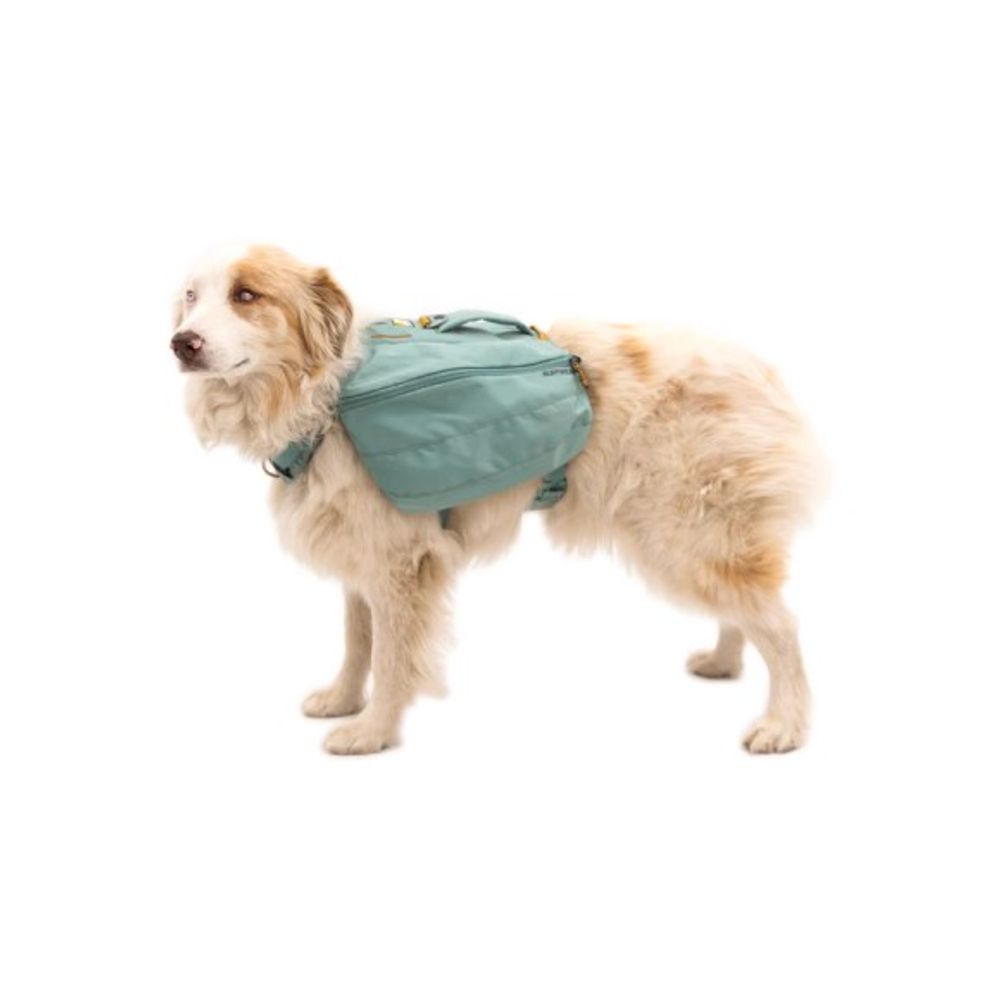 RuffWear, River Rock Green Front Range Day Pack