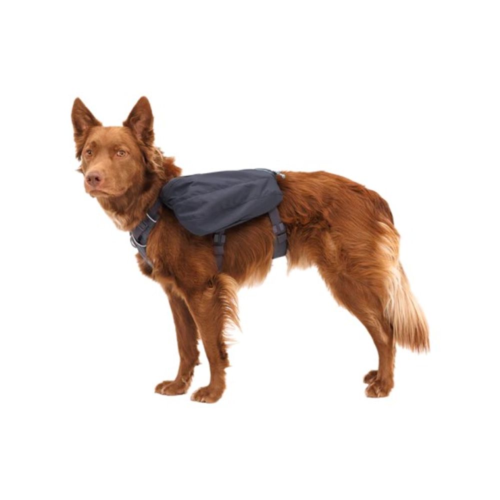 RuffWear, Basalt Gray Front Range Day Pack