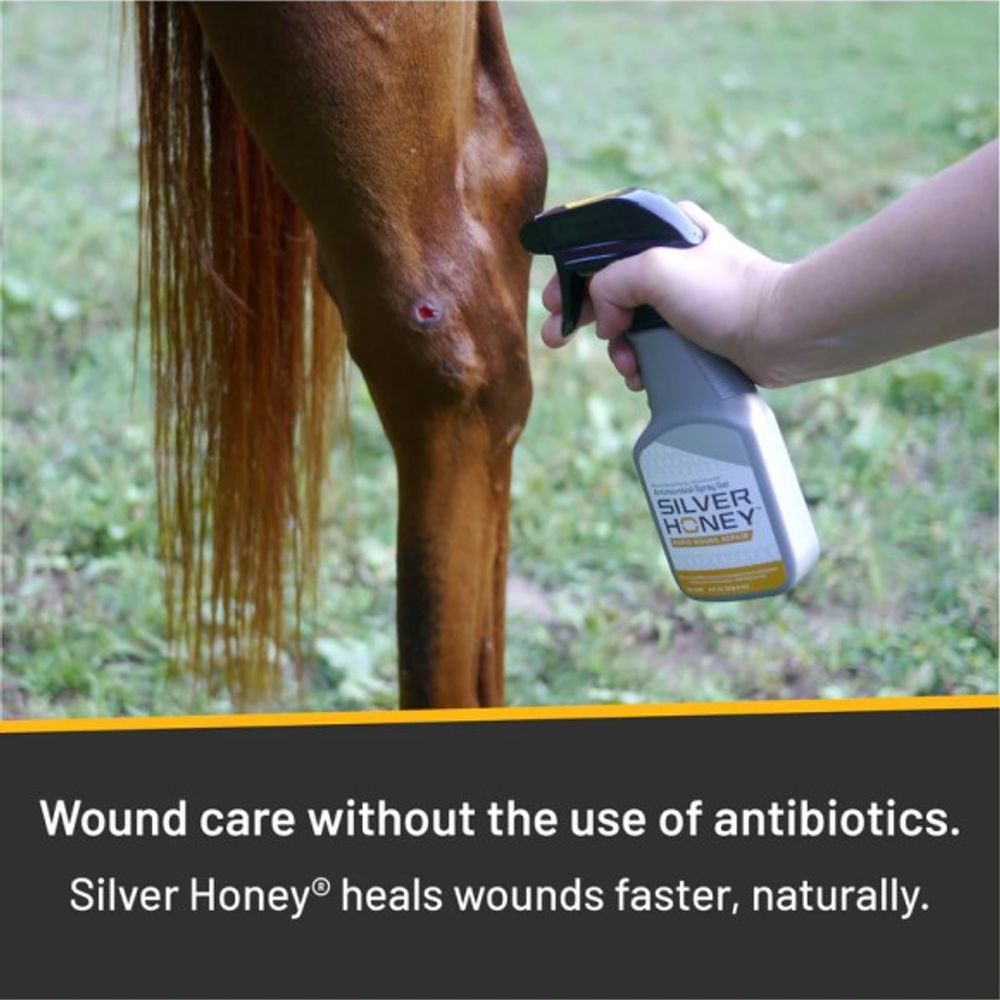 Silver Honey, Antimicrobial Rapid Wound Repair Spray Gel, 8 oz