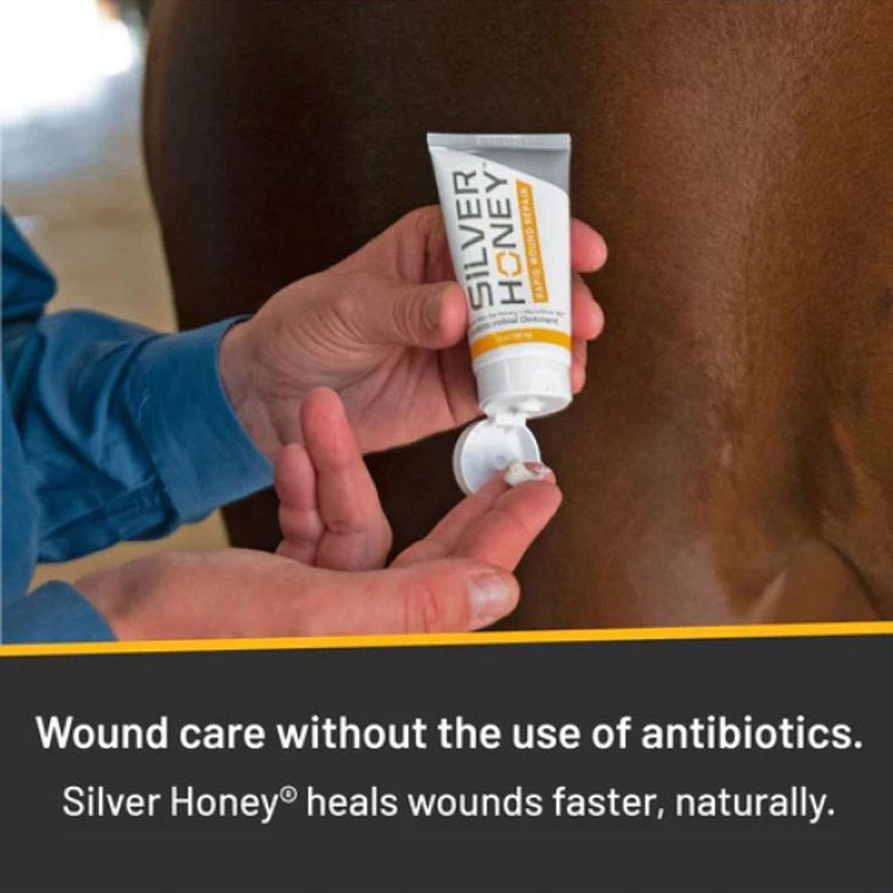 Silver Honey, Antimicrobial Rapid Wound Repair Ointment, 2 oz