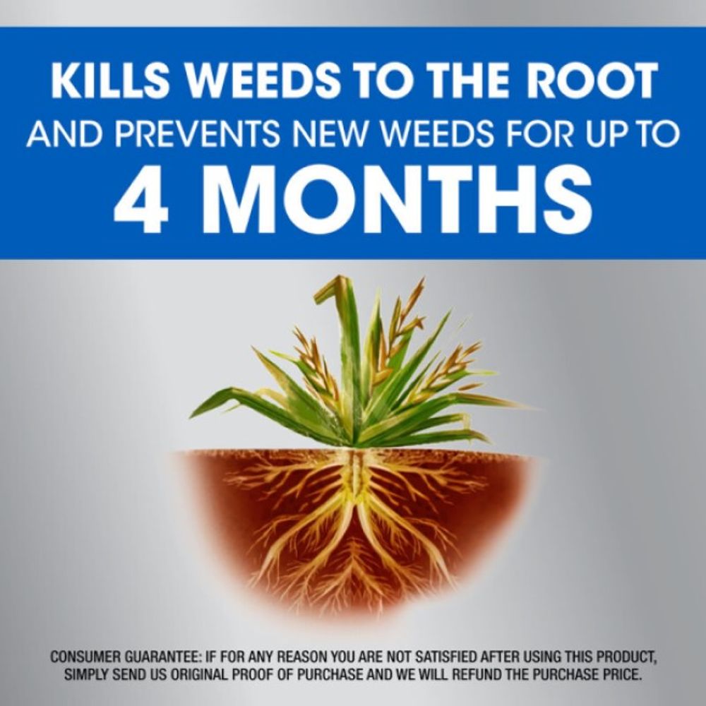 Roundup, Weed & Grass Killer, 32oz Concentrate