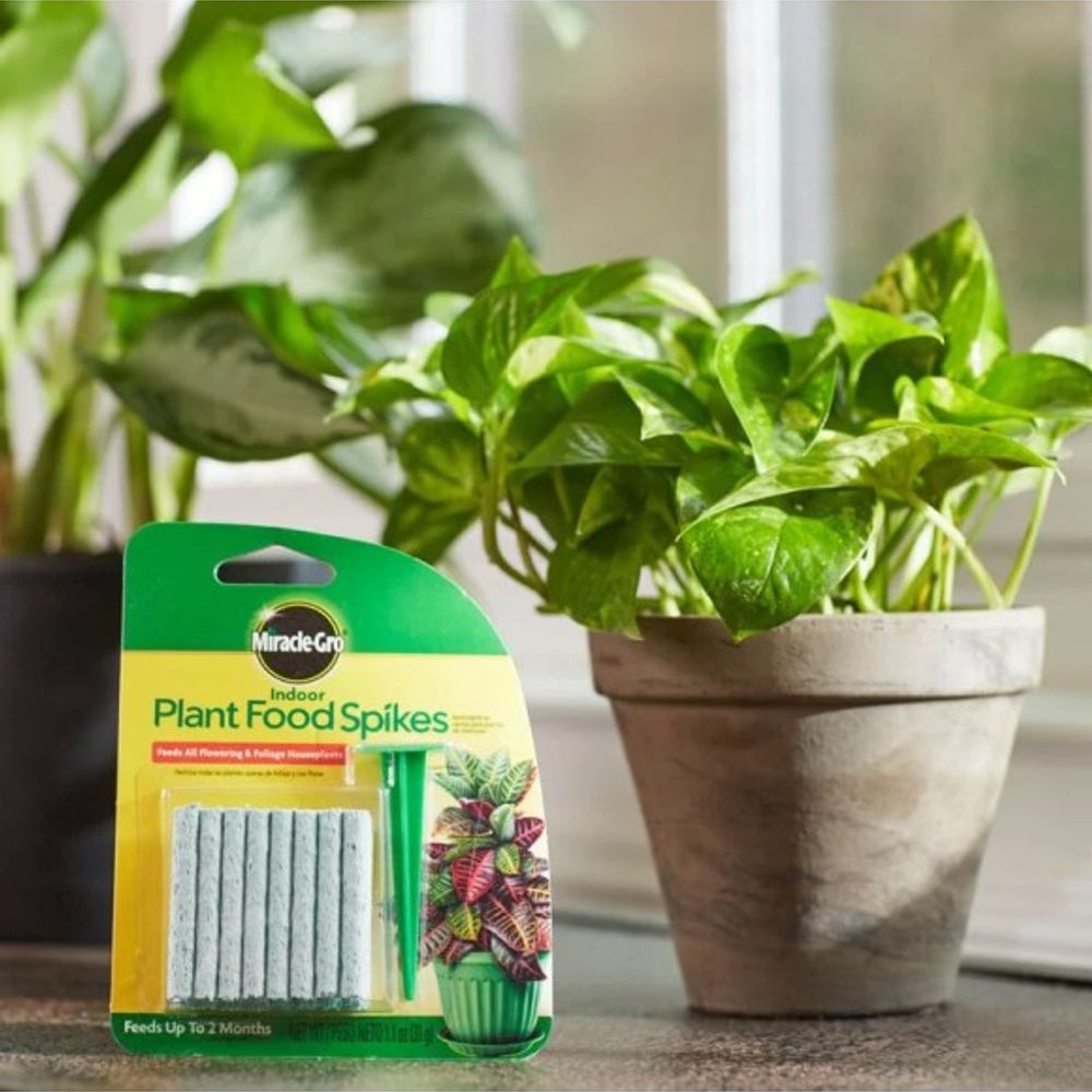 Miracle-Gro, Indoor Plant Food Spikes, 24 ct