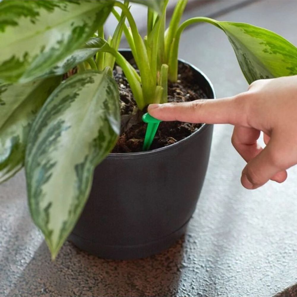 Miracle-Gro, Indoor Plant Food Spikes, 24 ct