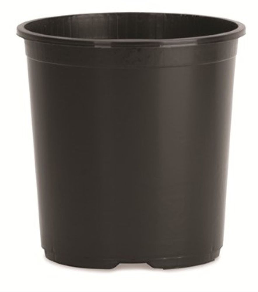 Black #15 Nursery Container, 15 gal