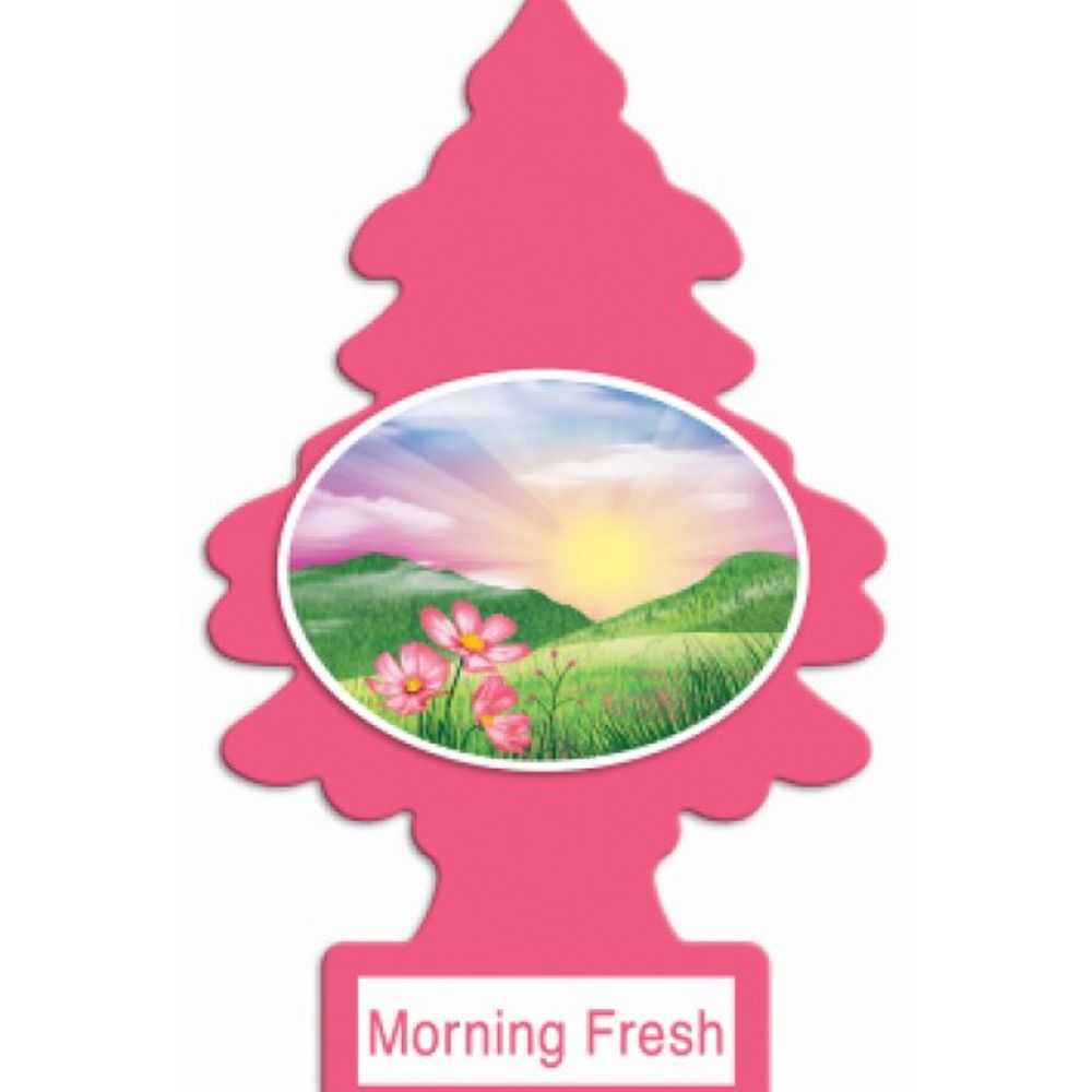 Little Trees, Morning Fresh Car Air Freshener, 3 pk