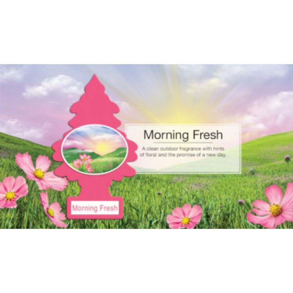 Little Trees, Morning Fresh Car Air Freshener, 3 pk