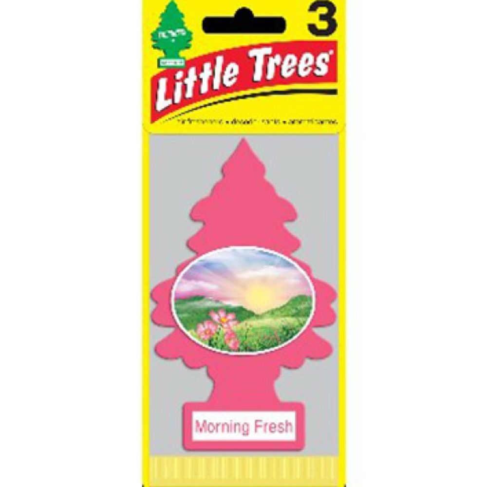 Little Trees, Morning Fresh Car Air Freshener, 3 pk