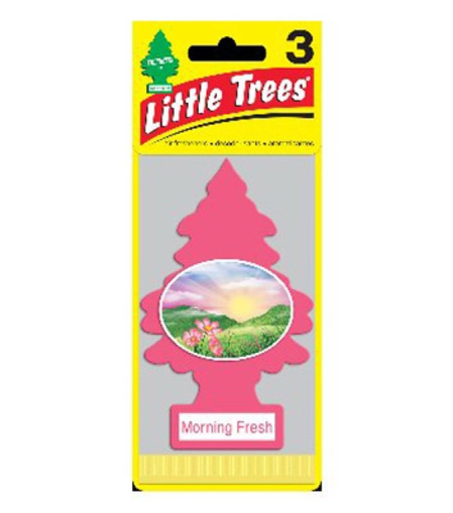 Little Trees, Morning Fresh Car Air Freshener, 3 pk