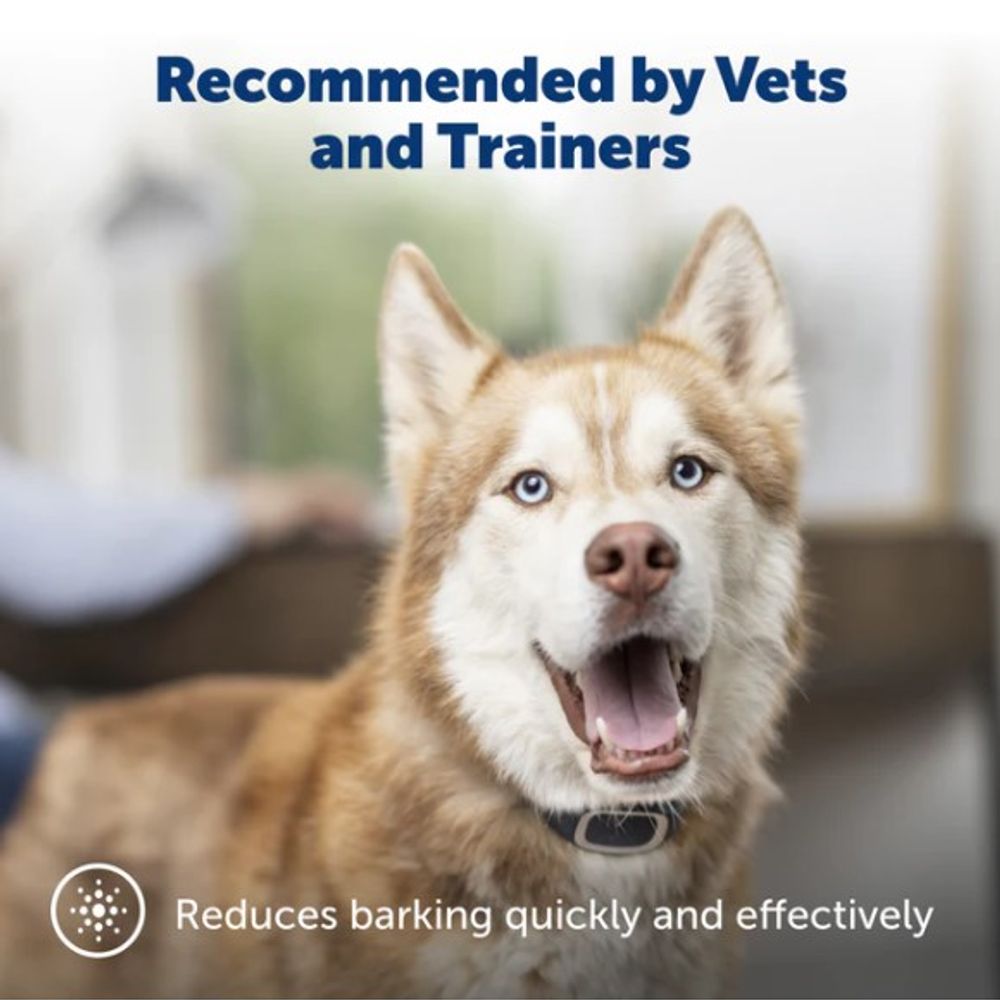 PetSafe, Classic Bark Dog Collar