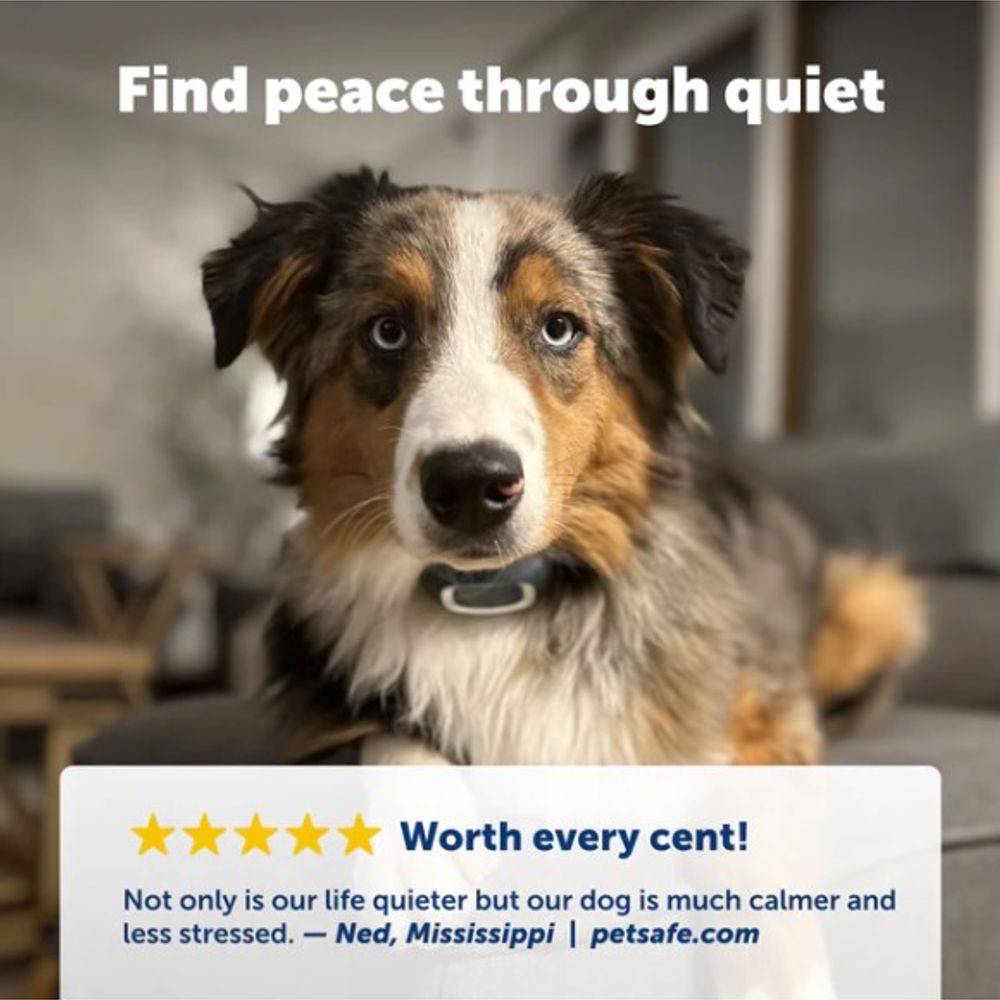 PetSafe, Classic Bark Dog Collar