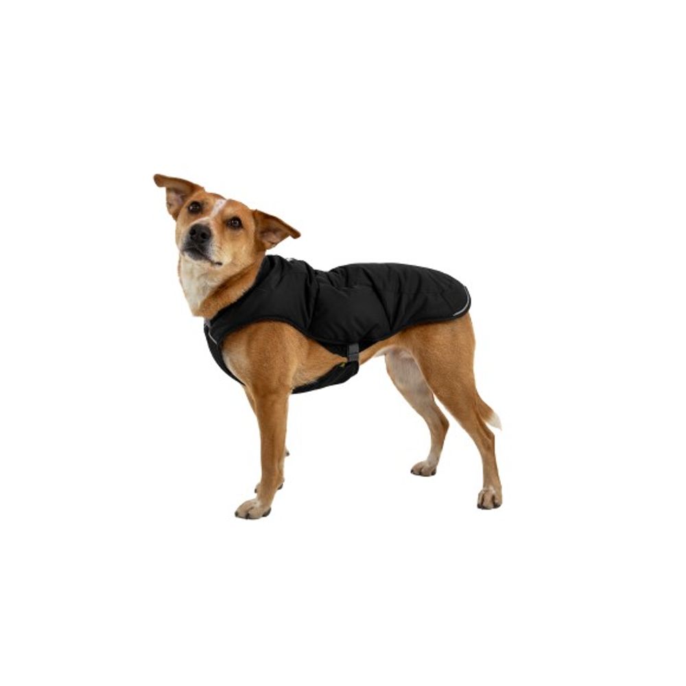 Ruffwear, Obsidian Quinzee Dog Jacket
