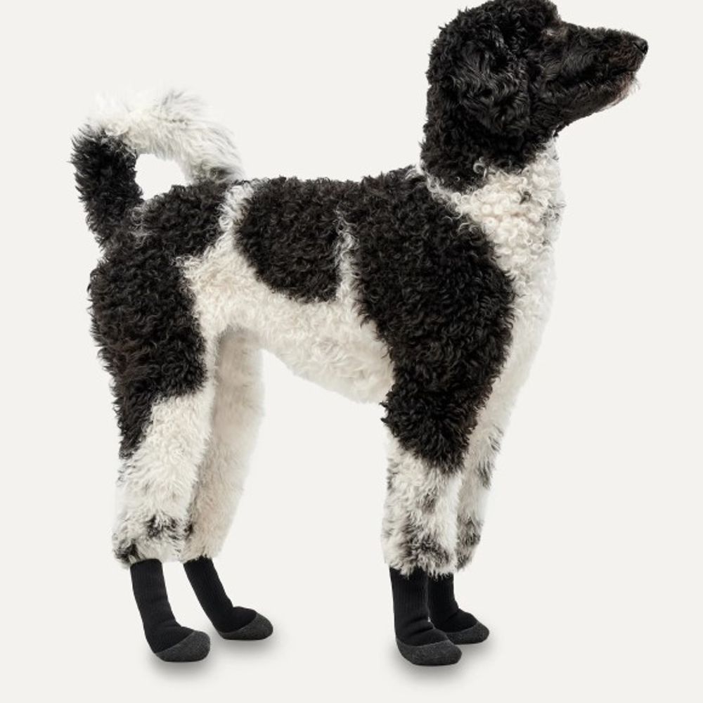 goo-eez, Black LITES Dog Booties, 4 pk
