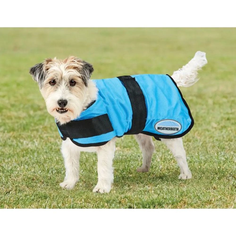Weatherbeeta, Blue Therapy-Tec Cooling Dog Coat