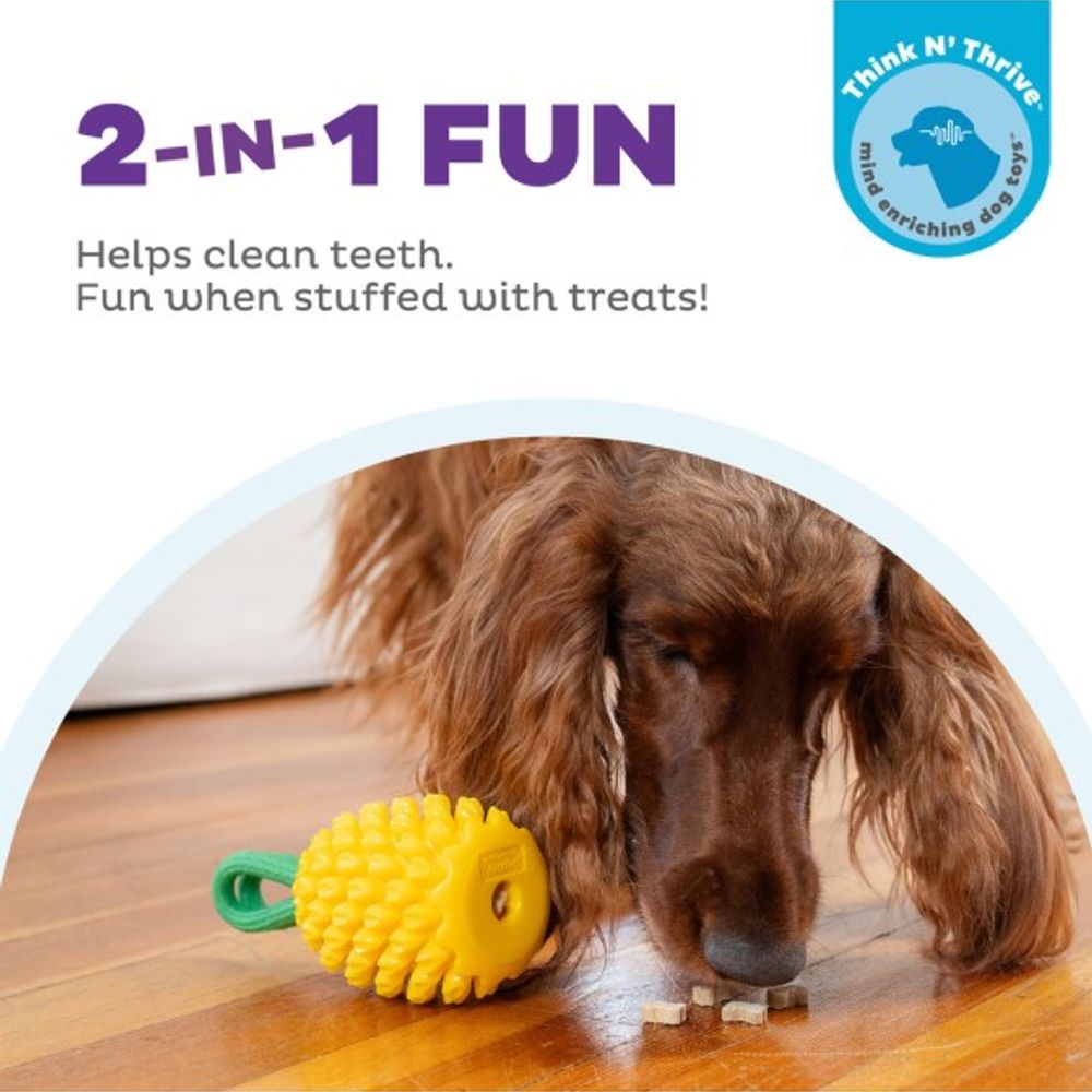 Outward Hound, Dental Pineapple Dog Chew Toy