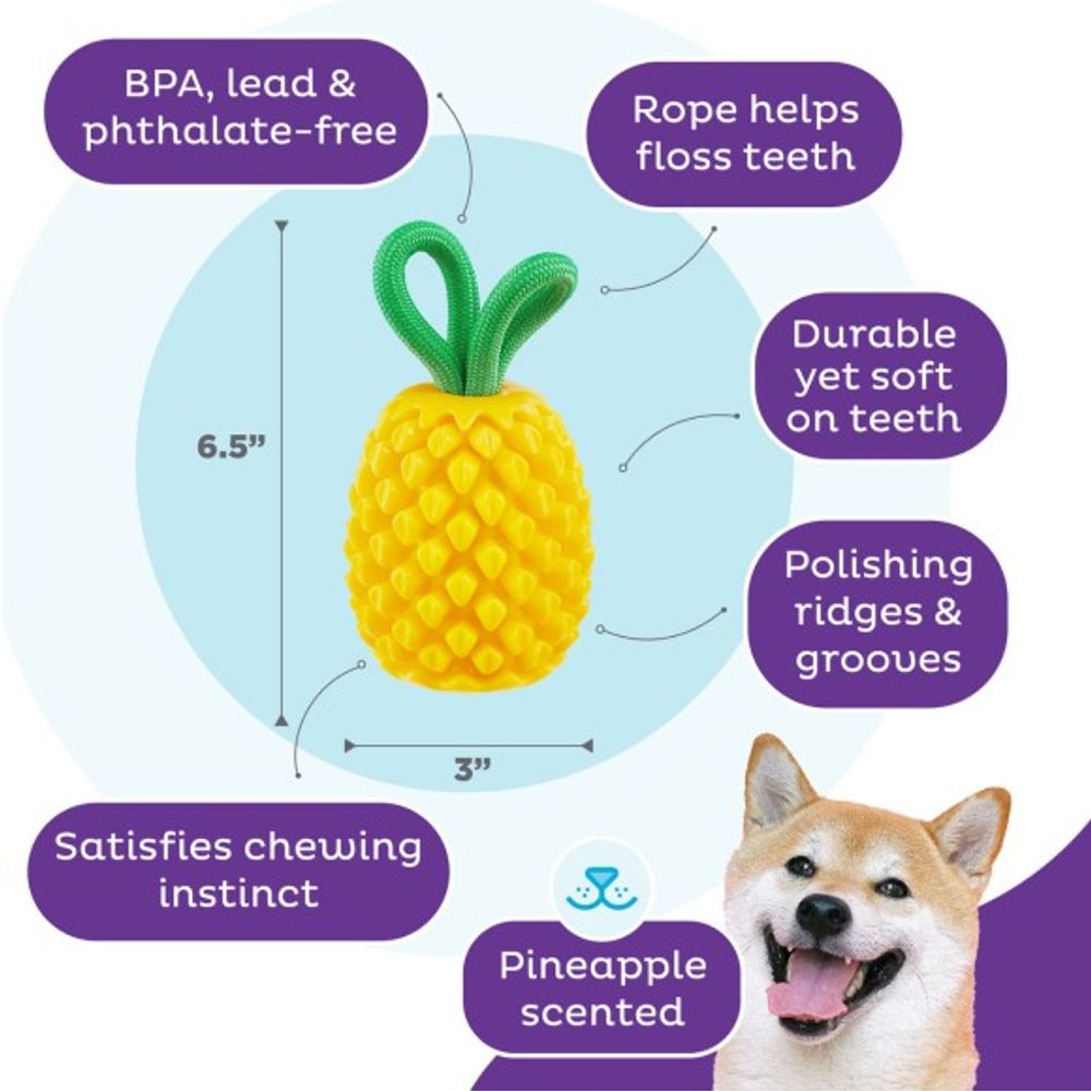 Outward Hound, Dental Pineapple Dog Chew Toy