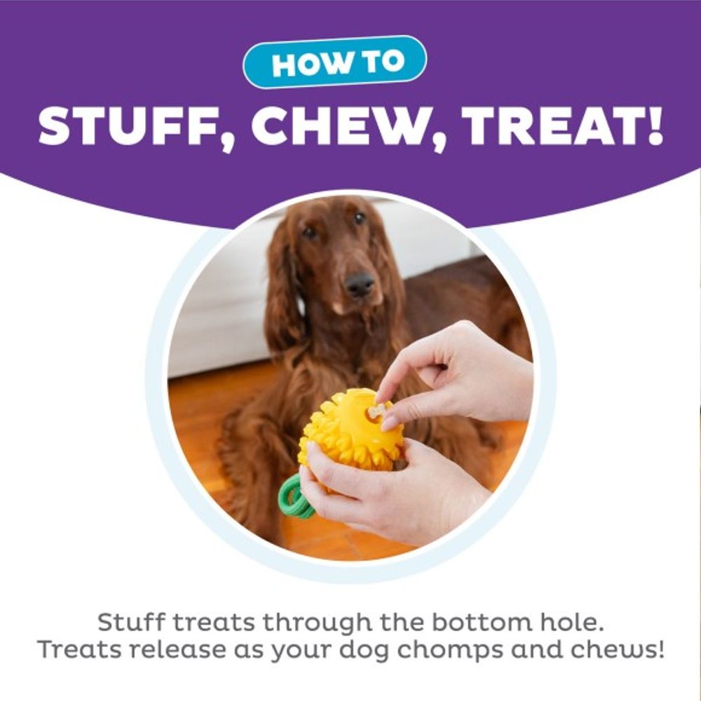 Outward Hound, Dental Pineapple Dog Chew Toy