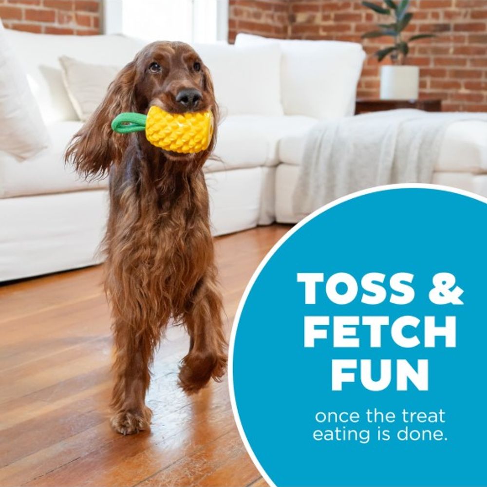 Outward Hound, Dental Pineapple Dog Chew Toy