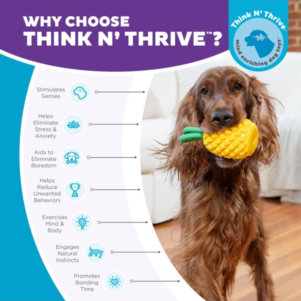Outward Hound, Dental Pineapple Dog Chew Toy