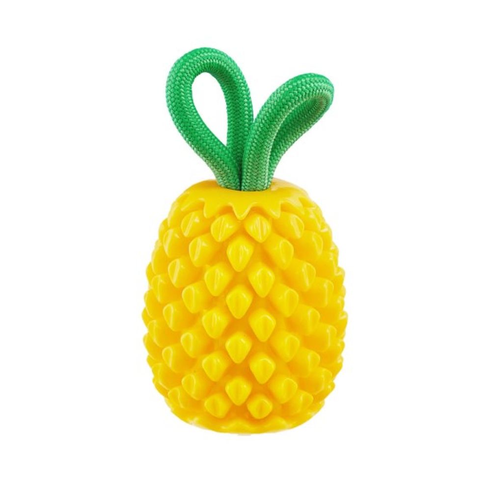 Outward Hound, Dental Pineapple Dog Chew Toy