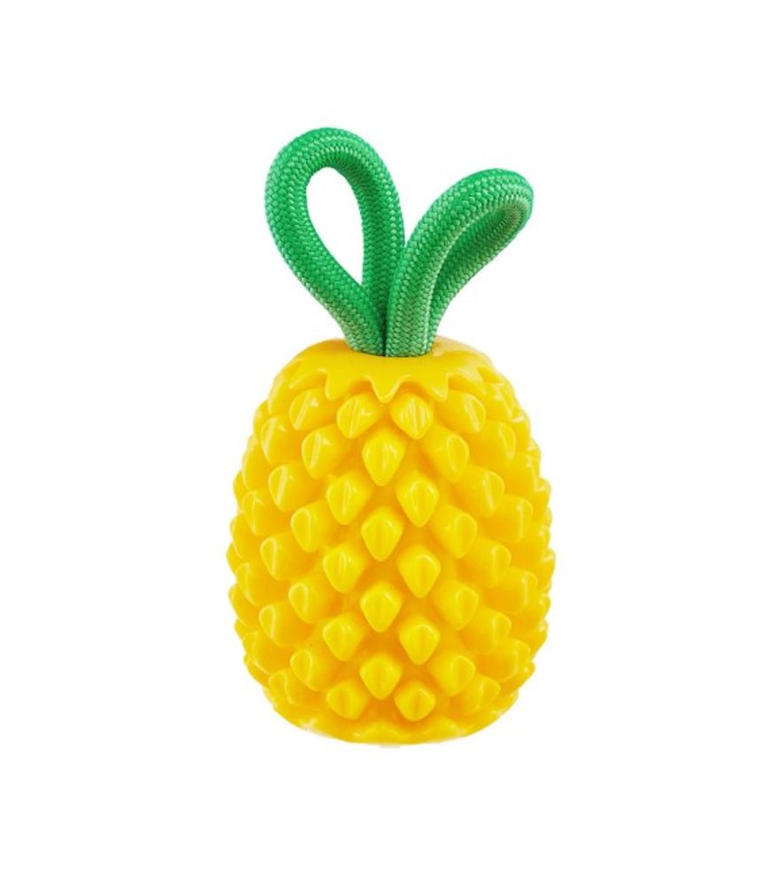 Outward Hound, Dental Pineapple Dog Chew Toy