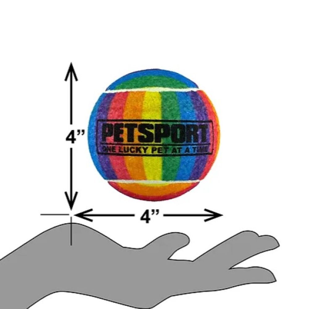 PETSPORT, 4" Rainbow Squeak Ball