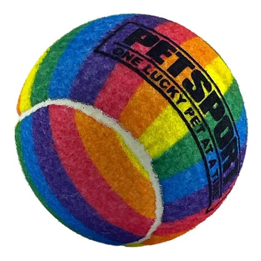 PETSPORT, 4" Rainbow Squeak Ball