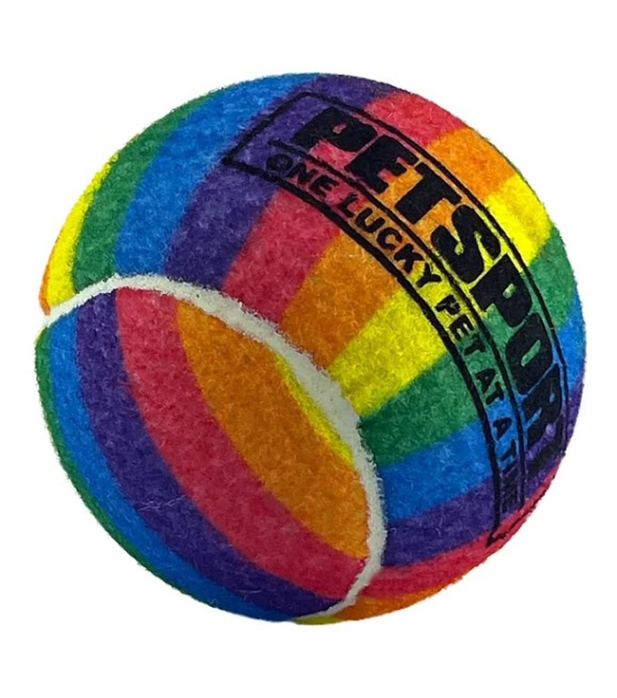 PETSPORT, 4" Rainbow Squeak Ball